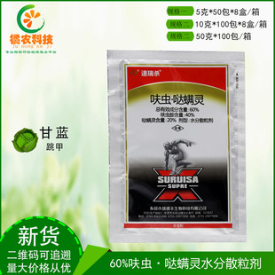 ����60%�}�\.߻�x��ˮ��ɢ���� ���{�S�l�����rș���x�����]R