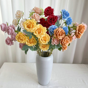 ���W�Lĥë���Lֻ6�^����õ�� �ӼҾƵ��Y���˹��bٻ����컨