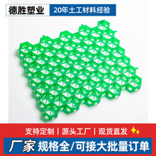 ֲ�ݸ�@�־G������ͨ��ͣ܇���þGɫHDPE������������ֲ�ݸ�