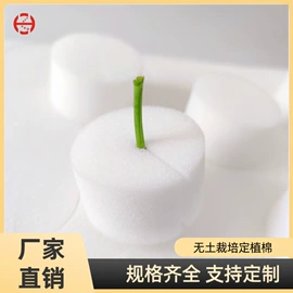 海绵;其他水上运动;针刺无纺布