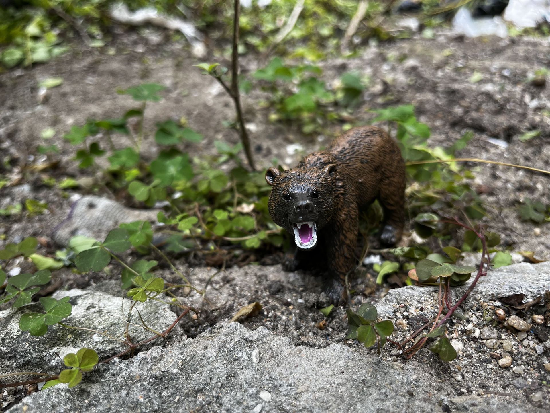 A9EF6C8E09C2F431904B342EFA294B