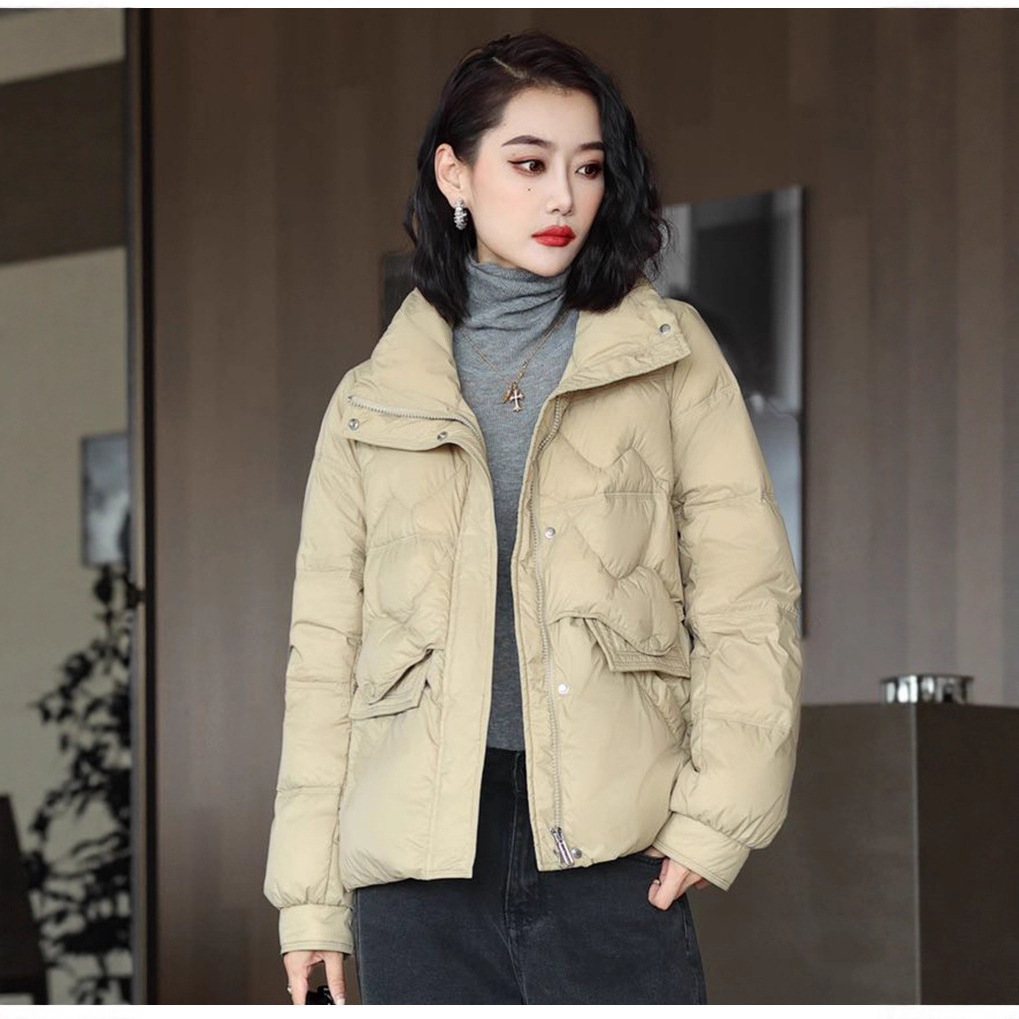 Invierno nuevo cuello vertical chaqueta de plumón mujer abrigo abrigo abrigo corto suelto stock