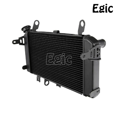 SFV650 radiator assembly motorcycle – car radiator