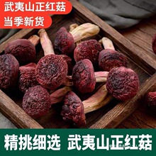 ��؛����ɽҰ��С�t�������خa�t׵����؛�tĢ��С����Ⱥľ�r�㹽