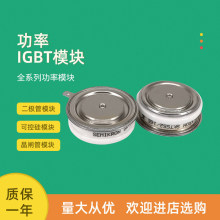 �ɿع辧բ��T2101N20TOF T2101N22TOF T2101N24TOF T2101N26TOF