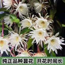 �һ������ԾGֲ�������˕һ�һ�F�҃����С�~�һ���ʳ�ú��B�׻�