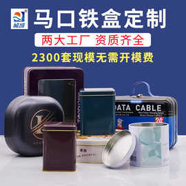 定制圆形马口铁盒包装 金属手提翻盖开窗 方形收纳小铁盒储物