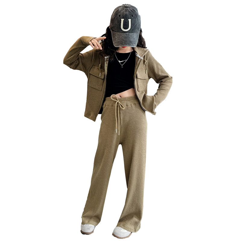 (2개) 소녀 세트 가을 2024 새로운 세련된 후드 재킷 두 조각 세트 중 큰 어린이 가을 유행 넓은 다리 바지