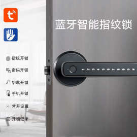免打孔指纹锁室内家用木门智能通通锁可远程下发指纹密码蓝牙锁