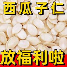 无添加西瓜仁生西瓜子糕点面包袋装500g发批商用籽仁散装无壳克