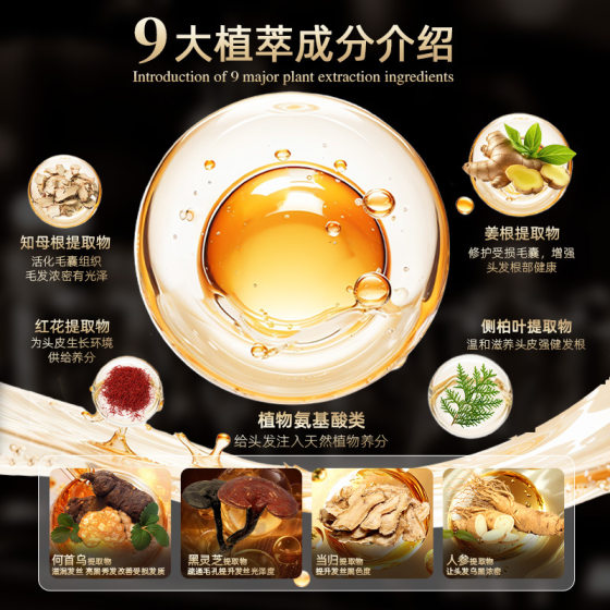 Silk Feather Show Black Ganoderma lucidum Polygonum multiflorum Black Hair Shampoo Plant Extraction Nourishing White to Black Hair in stock Straight Hair Protection