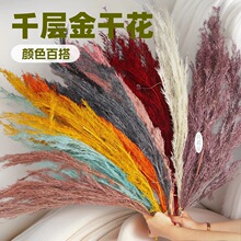 ����ǧ�ӽ�Ưɫ��ɫ�tɫ�����ϏS�����l������Ʒ�����ɻ�ǧ�ӽ�