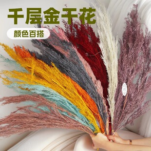����ǧ�ӽ�Ưɫ��ɫ�tɫ�����ϏS�����l������Ʒ�����ɻ�ǧ�ӽ�