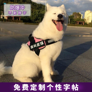 ♤ Dog Leash Vest-Style Harness for Shiba Inu, Samoyed, Golden Retriever, Medium and Large Dogs Walking Leash