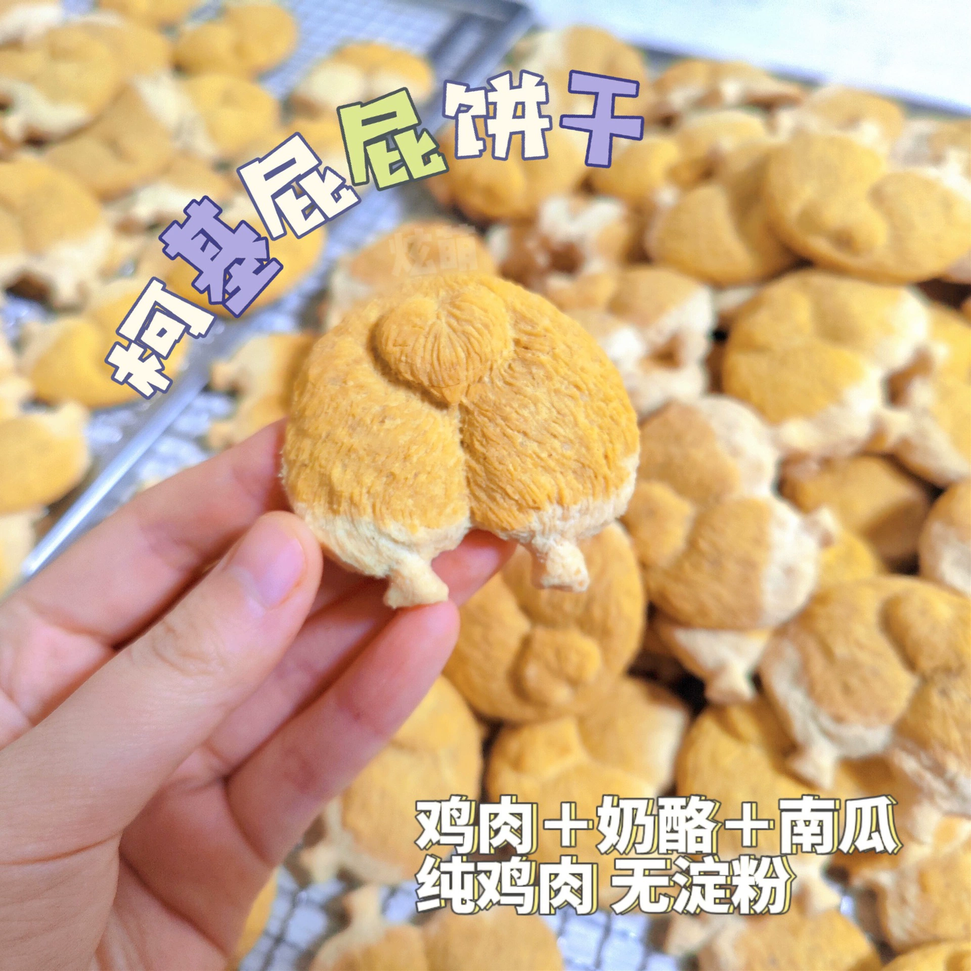 Закуски для домашних животных оптом сублимированные закуски Корги пердеют моляры печенье для собак ручной работы питание на откорме кальциевое печенье для собак