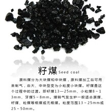 6500卡水洗煤销售6200卡气化煤面煤6000卡有烟煤5500卡沫煤供应