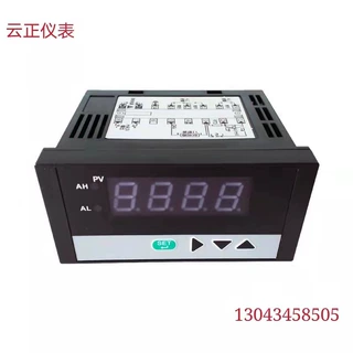 WP-C401-00-16-N-W 数字显示报警器 数显控制仪