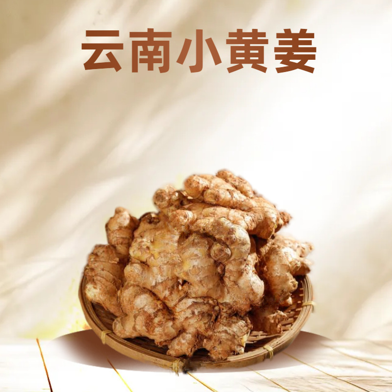Authentic Yunnan Small Yellow Ginger, Mountain-Grown, Farm-Fresh Ginger, Postpartum Ginger, Old Ginger Wholesale, Dropshipping