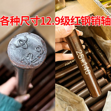 �����C�Ғ��N���r�C�̶�����ƽ�^�A���N�S���I�S12.9���ߏ�����N