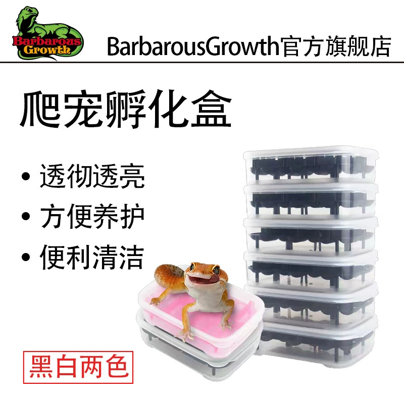 Рептилия Ресницы Герметичный Инкубационный Ящик Shougong Инкубационный Ящик Грива Лев Кукуруза Домашнее Животное Восхождение Инкубационное Яйцо Решетка Яйцо Порция Вермикулит