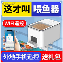 ���Č��Ԅ�ι�~�����rιʳС���~��ι�~��늽��~ʳͶι��