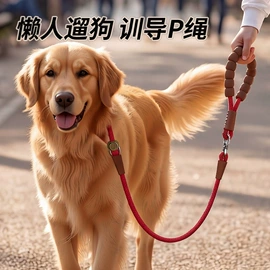 宠物门栏;猫厕所;狗狗清洁