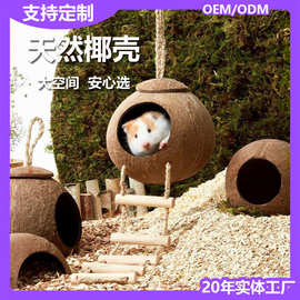 仓鼠窝椰子壳躲避屋夏季爬宠造景用品金丝熊睡窝鸟窝花枝鼠芦丁鸡
