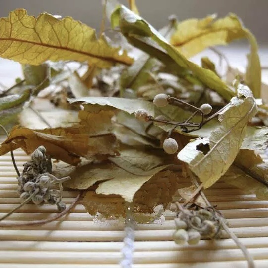 Linden Leaf Tea (Tilia cordata) — Dried菩提叶 Herbal Infusion, 500g quality and texture