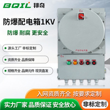 ���˷��������������������1KV��늙�ip66��������b�÷�����