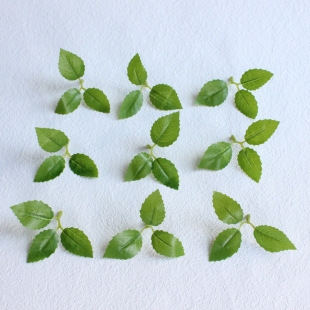 ����õ���~���l ����3�~�z�m���~�����~��ֲ������b��~��