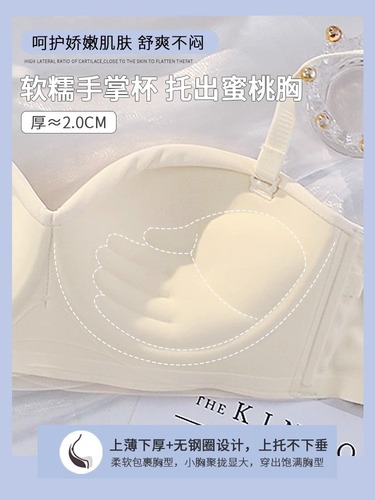 Half Cup Women's Small Cup Push-Up Bra for Flatter Chest, Seamless, Anti-Sag, Strapless Bra Cover for Summer, Thin Style