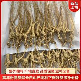 干林下微残参长白山林下参原产地足年高龄山参煲汤泡酒滋养推荐