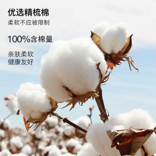 Couples pure cotton pajamas men's combed cotton spring and summer 2025 new style long-sleeved pullover round collar women's home wear set