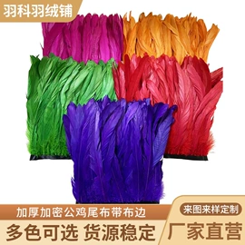 羽毛、羽绒;除尘掸;扇子