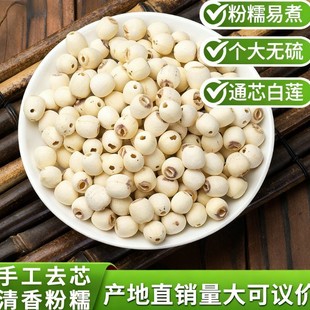 ������؛ ������ɏ ȥо��ɏ��500g ���l �����²� �Ҝ�������