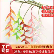 ���滨���P��ins�L��Ʒ�|�L֦���B���P�˵��B����c�b��滨