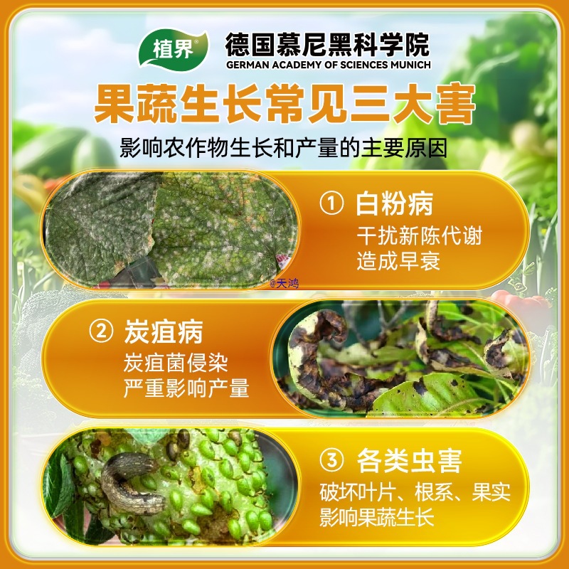 Sprinkle-Type Granular Fertilizer to Remove Soil Pests and Prevent Soil-Transmitted Fertilizer for Vegetables, Melons and Fruits