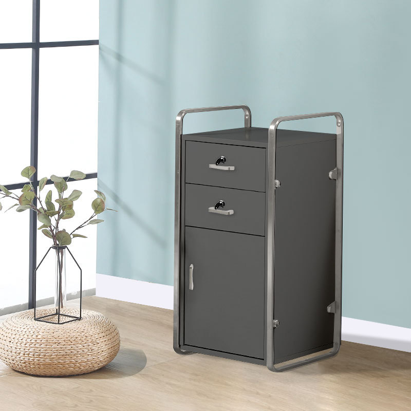 2024 새로운 스타일의 실버 프레임 다크 그레이 캐비닛