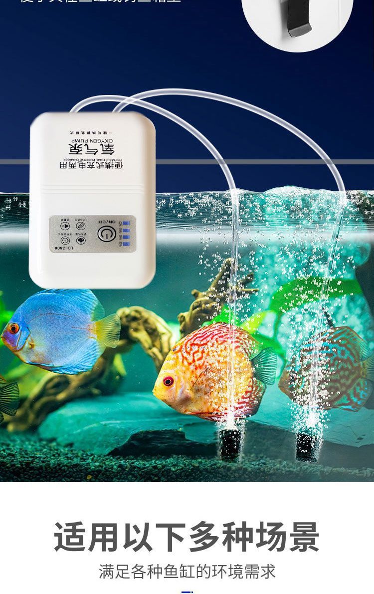 f4647cbd-a7be-427c-a15a-5b9375db2d64.jpe