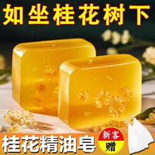���㾫����ˮ��ϴĘ�������Ůʿϴ��ˬ��ԡ�����־����㱾��