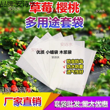 樱桃袋草莓专用套袋车厘子无花果套袋防虫防鸟防水防雨防菌袋子