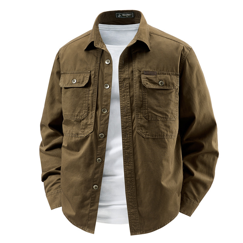 2132 브라운(공개 버전)