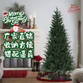 工厂直销1.5米1.8米圣诞树PVC+PE装饰摆设商超派对大型圣诞树