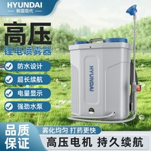 �����ִ��綯������ũ�ô�ҩ����ѹ﮵罽��ũҩ����������ʽ����