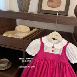 宫崎骏小梅裙子女童连衣裙新款宝宝短袖可爱公主裙夏装礼服蓬蓬裙