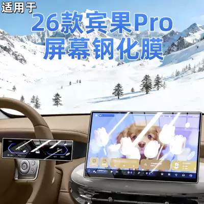 Bingo Pro Center Console Screen | Car interior film