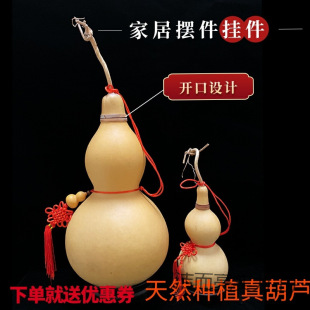 ��Ȼ�_�ں��J����J����ҾӔ[���T���T�M�����P���������۷x֮��