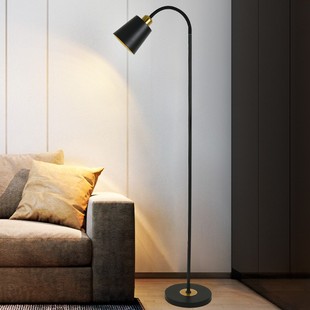 Light Luxury Floor Lamp Living Room Bedroom Study Vertical Sofa Lamp Small Room Simple Eye Protection Remote Control Voice North Full