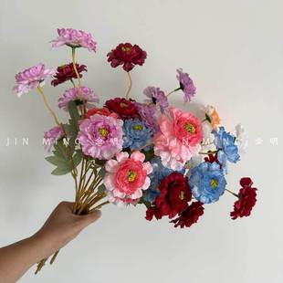 ���^̫ꖻ�8ɫ��c�tɫ���滨������Y�����b��Ŀ羳���R�d