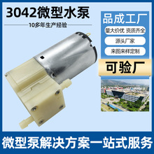 供应3042直流隔膜水泵户外手压电动便携机12V24V高压微型自吸水泵